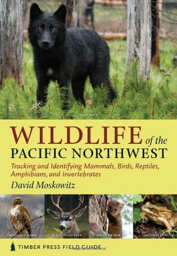 Wildlife Of The Pacific Northwest Tracking And Identifying Mammals