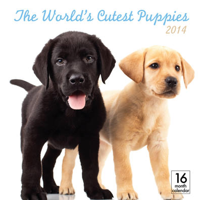 The World's Cutest Puppies Wall Calendar 2014