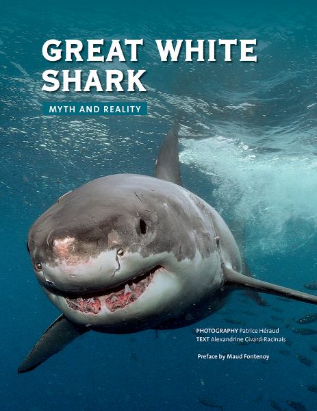 great white shark,easter egg hunt great white shark - myth and reality