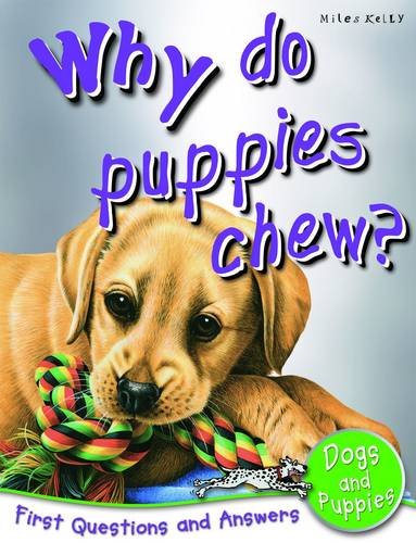 Dogs And Puppies: Who Do Puppies Chew? (First Questions And Answers)