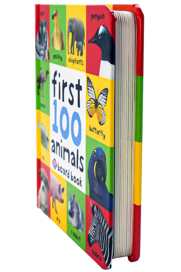 First 100 Box Set: Farm, Dinosaurs, Trucks - Priddy Books