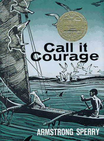 Call It Courage by Armstrong Sperry - Book Outlet