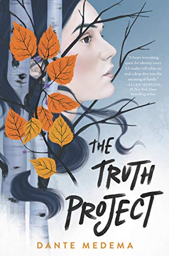 the truth project by dante medema the truth project by dante medema