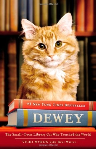 Dewey the Library Cat: A True Story by Vicki Myron - Book Outlet