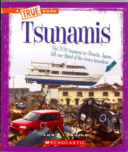 Tsunami cc2