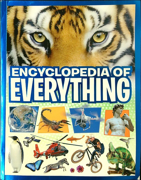 Encyclopedia of Everything by Kingfisher - Book Outlet