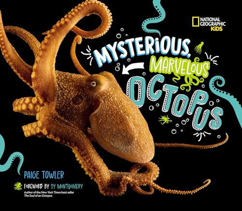 超人気ブティック (National Octopus! Marvelous Mysterious, Geographic by Kids) 絵画