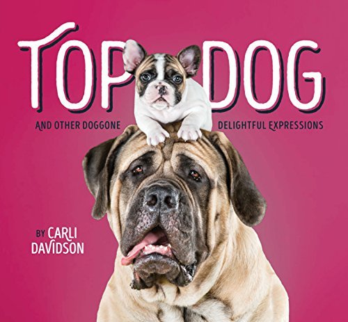 Top Dog and Other Doggone Delightful Expressions