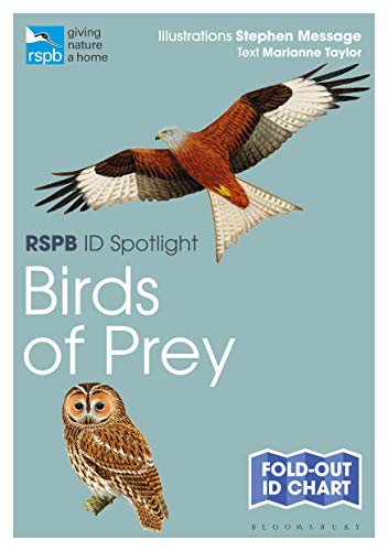 Birds of Prey Fold-Out ID Chart (RSPB ID Spotlight) by Marianne Taylor ...