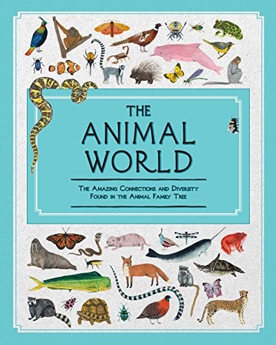 The Animal World: The Amazing Connections and Diversity Found in