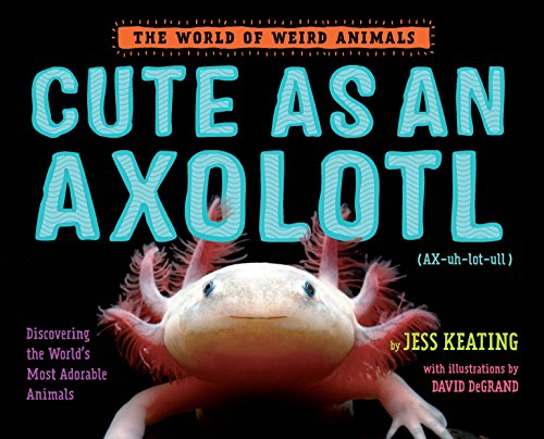 Cute As An Axolotl Discovering The World S Most Adorable Animals The World Of Weird Animals Bookoutlet Com