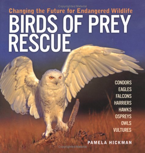 Birds of Prey Rescue