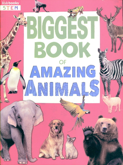 Biggest Book of Amazing Animals (STEM) by Kidsbooks - Book Outlet