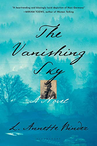 the vanishing sky the vanishing sky