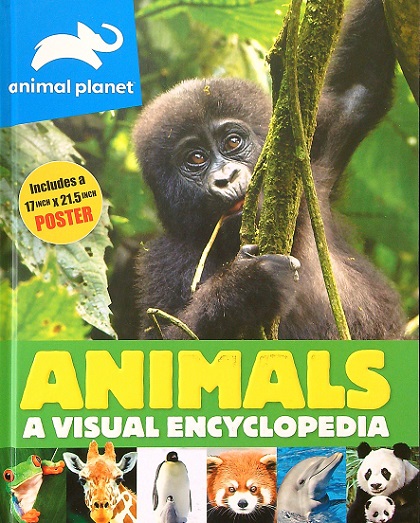 Animals: A Visual Encyclopedia (Animal Planet) by Silver Dolphin