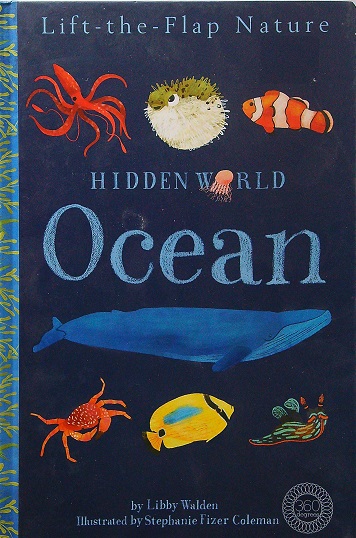 Hidden World: Ocean Lift-the-Flap Nature Book by Libby Walden