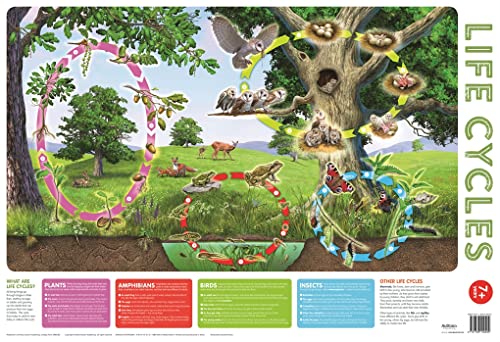 Incredible Nature Wallchart by Autumn Publishintg - Book Outlet