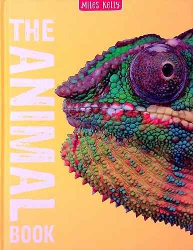 The Animal Book by Miles Kelly - Book Outlet