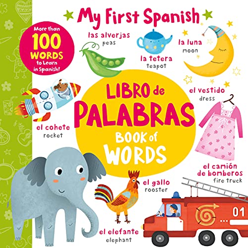 libro-de-palabras-book-of-words-more-than-100-words-to-learn-in